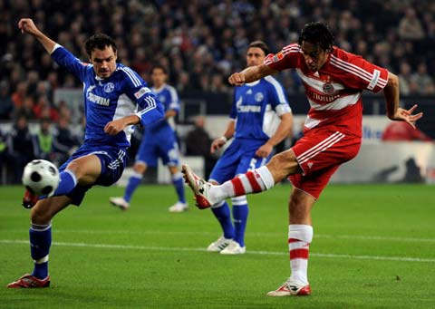 西部示范 西部示范